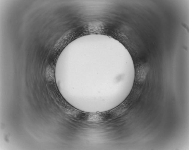 X0000102280705200808151928