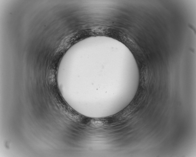 X0000102280706200808151928