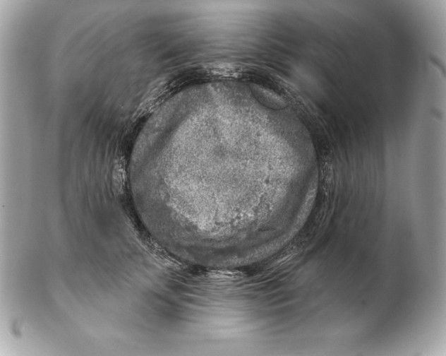 X0000102280707200808151928