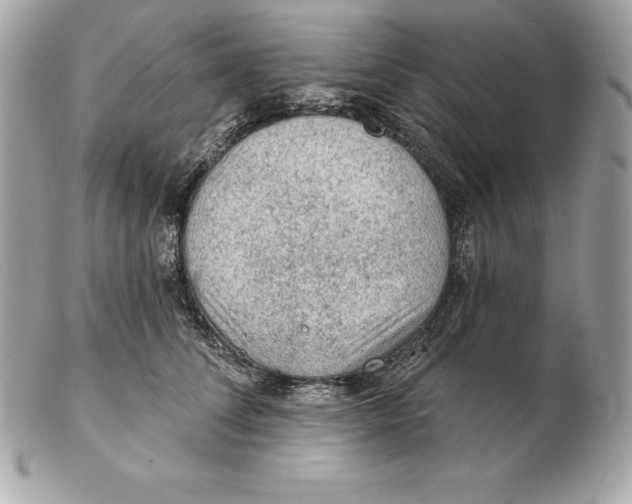 X0000102280708200808151928