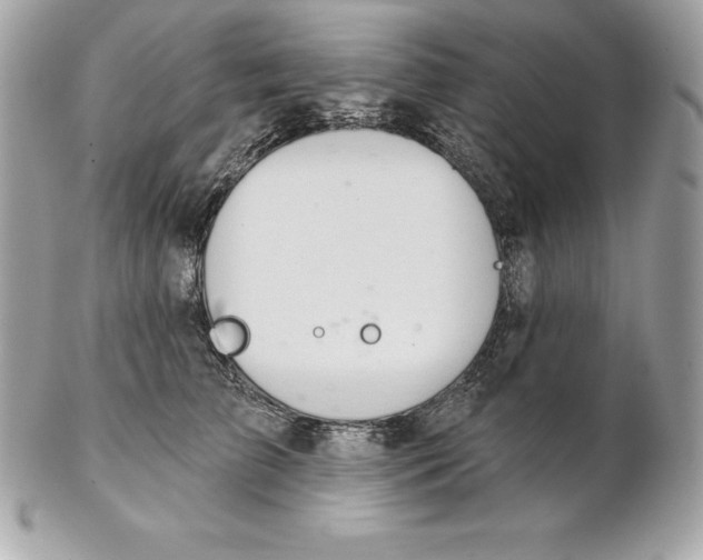 X0000102280709200808151928