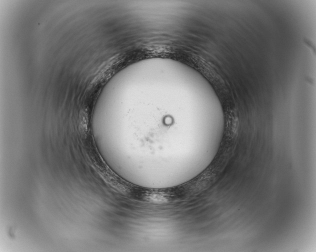 X0000102280710200808151928