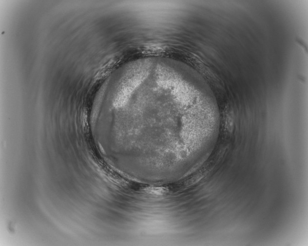 X0000102280711200808151928