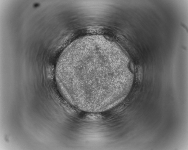 X0000102280712200808151928