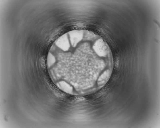 X0000102280715200808151928