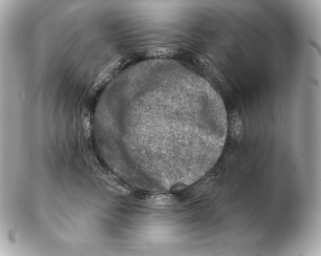 X0000102280716200808151928