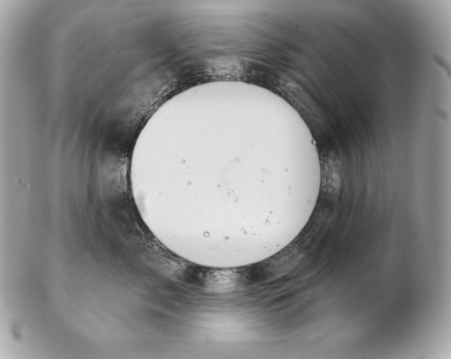 X0000102280717200808151928