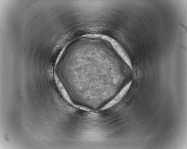 X0000102280718200808151928