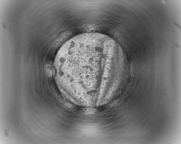 X0000102280719200808151928