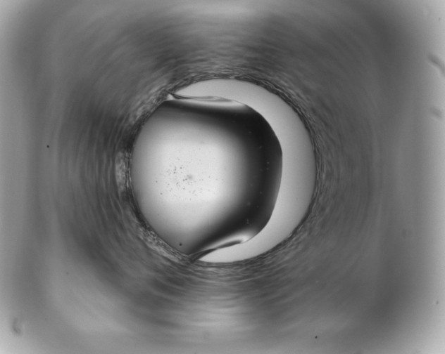 X0000102280720200808151928