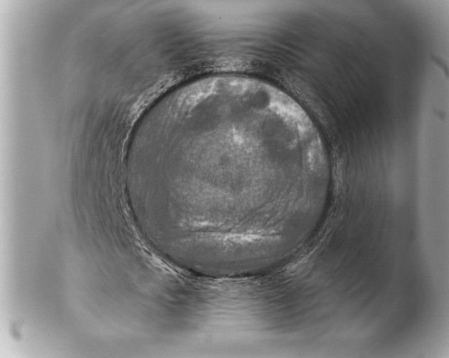 X0000102280721200808151927