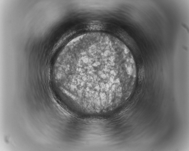 X0000102280722200808151927