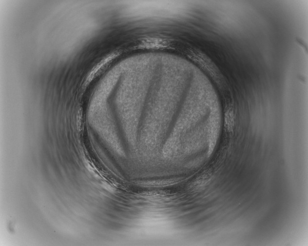 X0000102280724200808151927