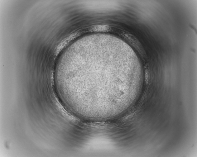 X0000102280725200808151927