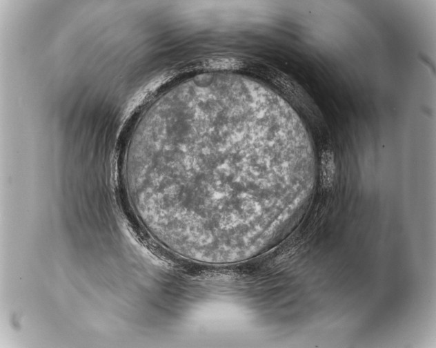 X0000102280726200808151927