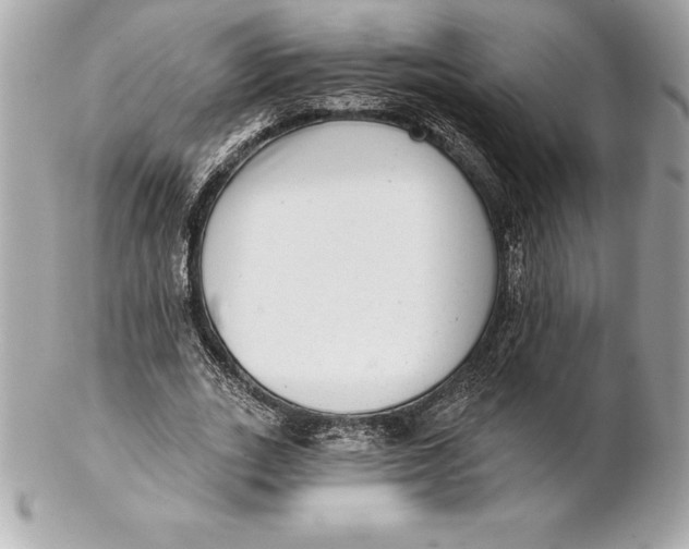 X0000102280727200808151927