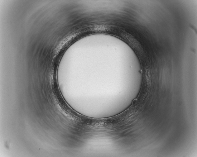 X0000102280728200808151927