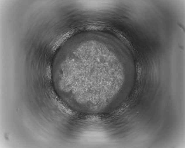 X0000102280729200808151927