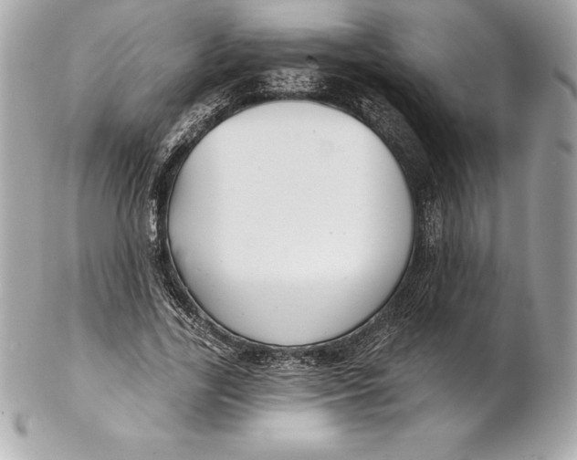 X0000102280731200808151927