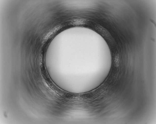 X0000102280732200808151927