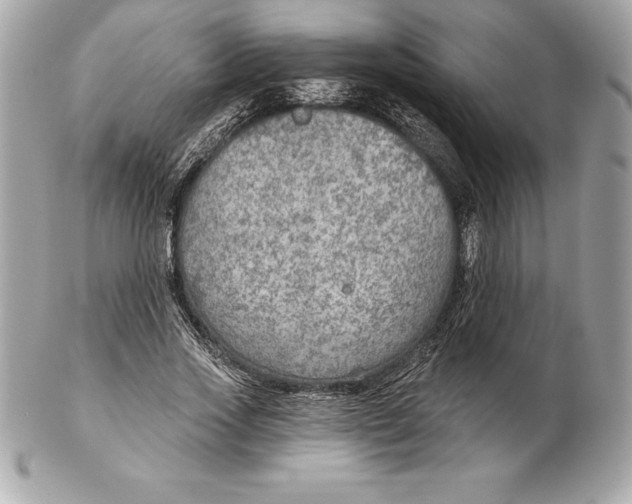 X0000102280733200808151927