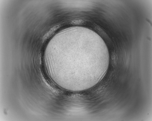 X0000102280734200808151927