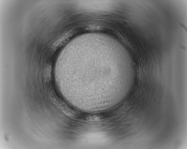 X0000102280735200808151927