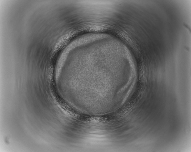 X0000102280736200808151927