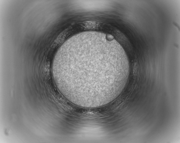 X0000102280737200808151927