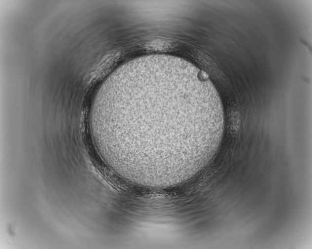 X0000102280738200808151927