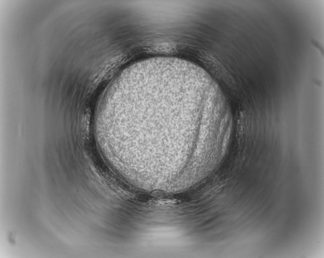 X0000102280739200808151927