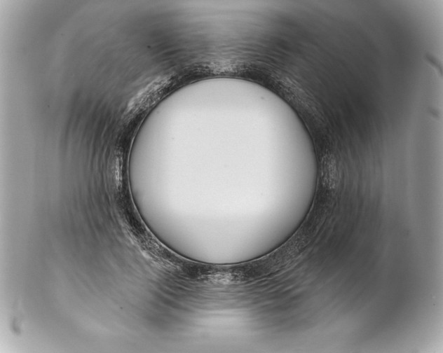 X0000102280740200808151927