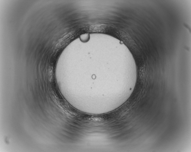 X0000102280741200808151927