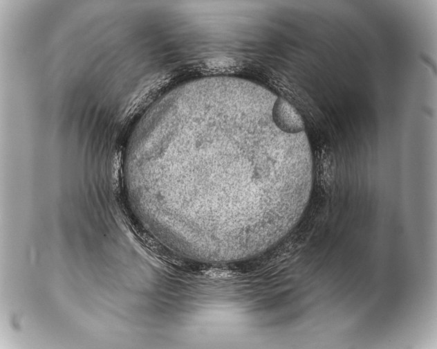 X0000102280742200808151927