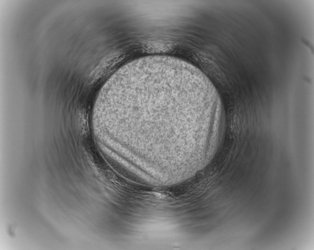 X0000102280743200808151927