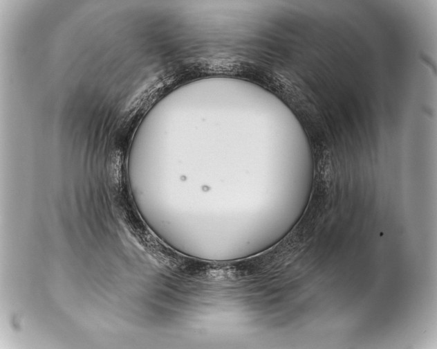 X0000102280744200808151927