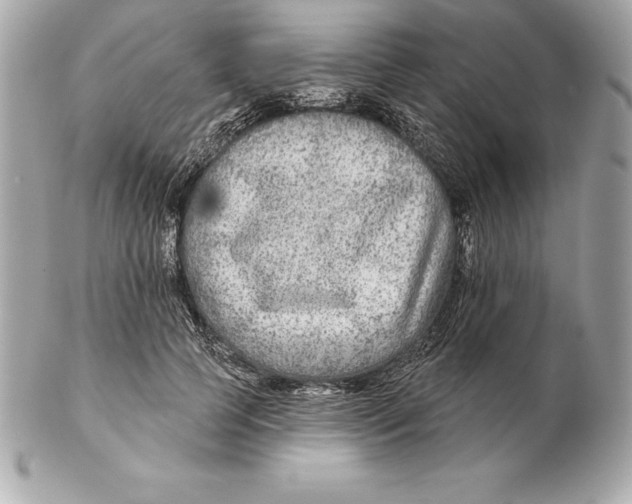 X0000102280745200808151927