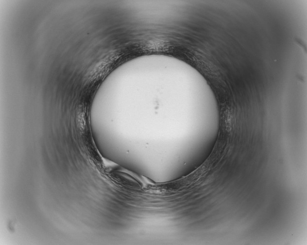 X0000102280746200808151927