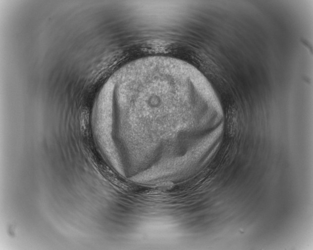 X0000102280747200808151927