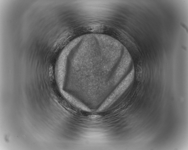 X0000102280748200808151927