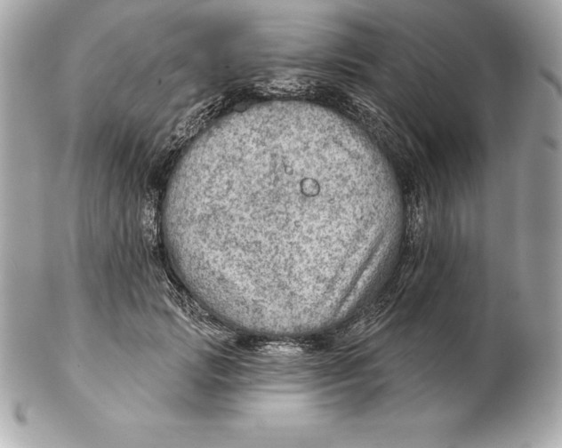 X0000102280749200808151927