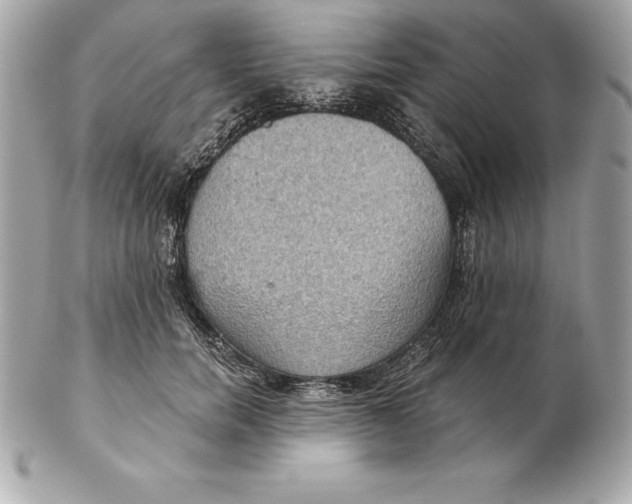 X0000102280750200808151927