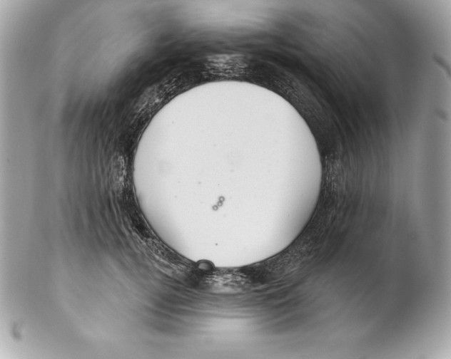 X0000102280752200808151927