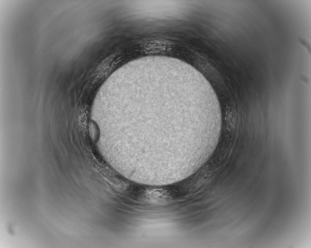 X0000102280753200808151927