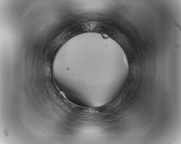 X0000102280754200808151927