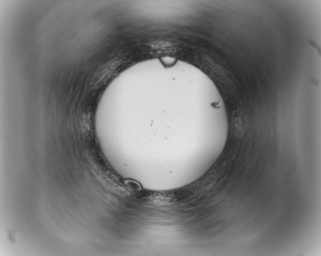 X0000102280756200808151927