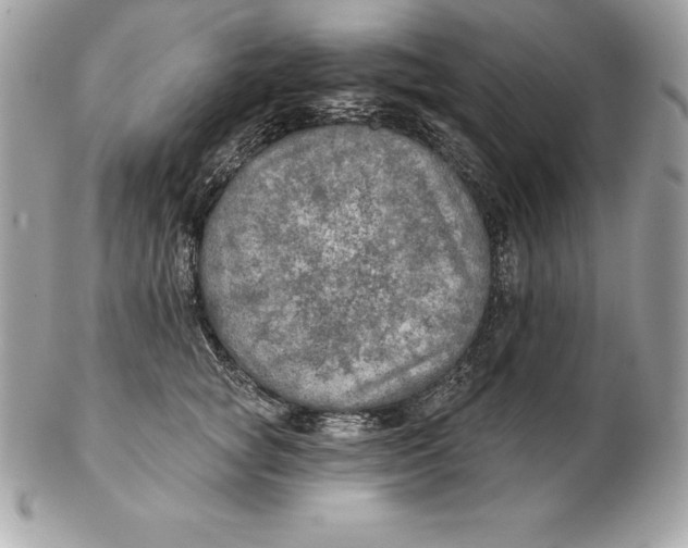 X0000102280757200808151927