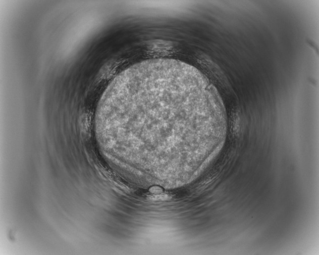 X0000102280759200808151928