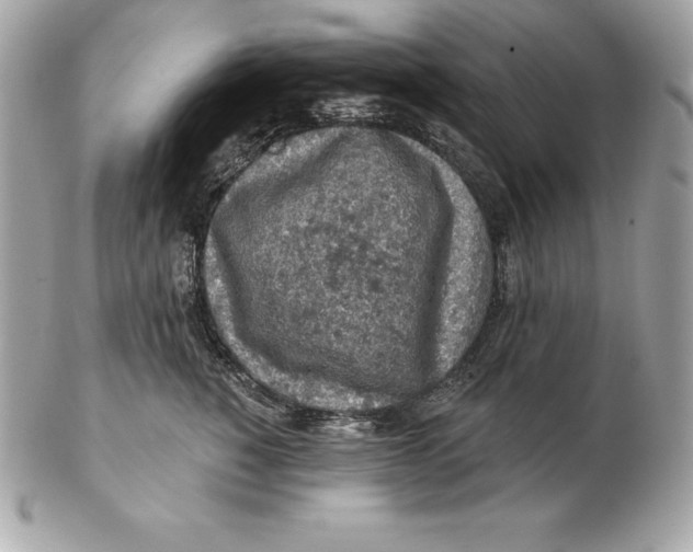 X0000102280760200808151928