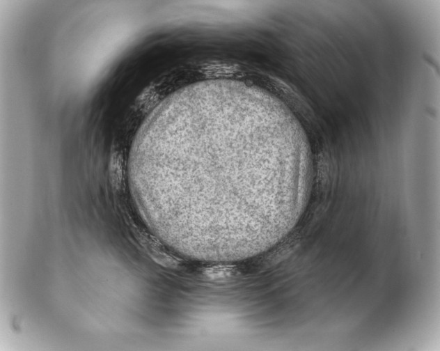 X0000102280761200808151928